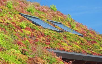Barton Abbey living roof systems